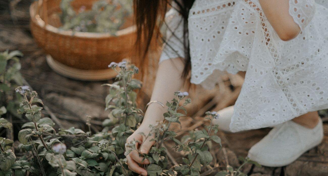 Planting gifts for mothers day