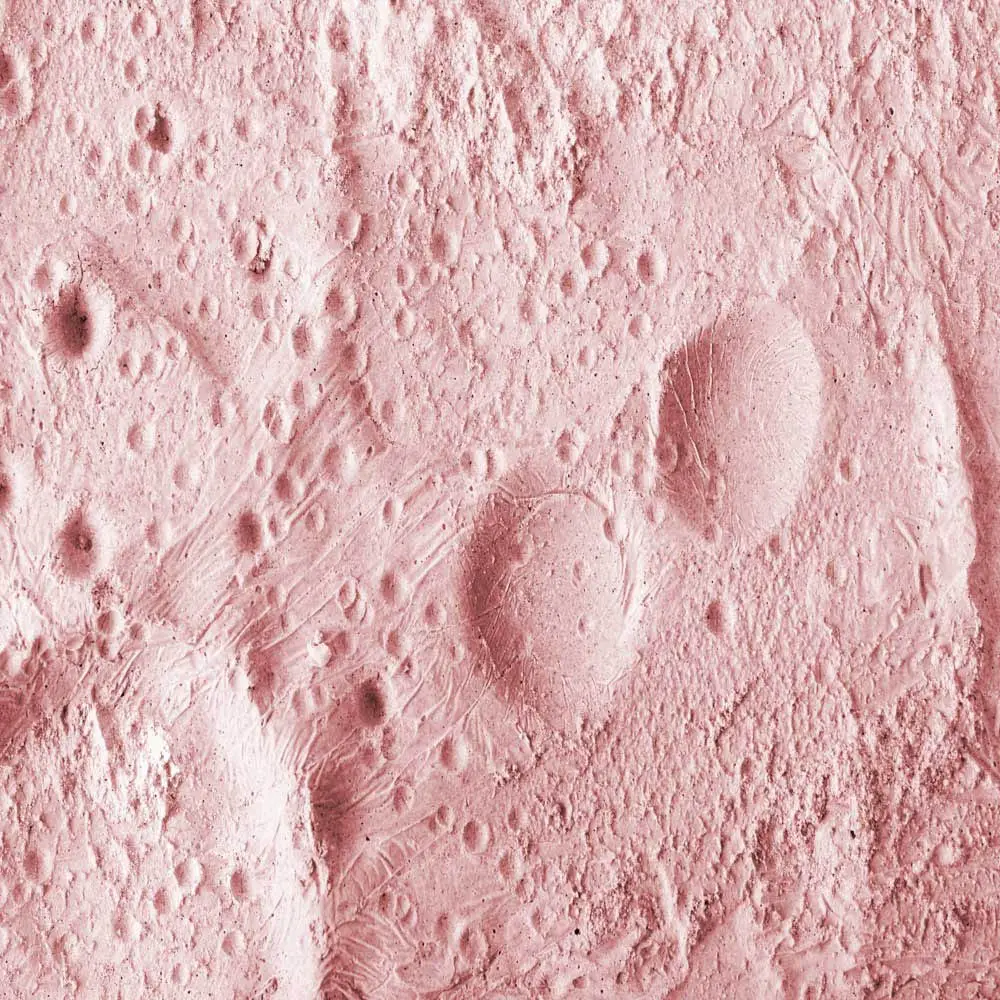 PINK BACGKROUND