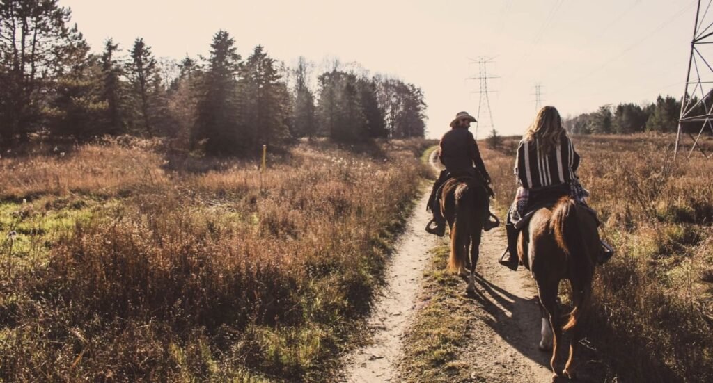 Horseriding couple experinece
