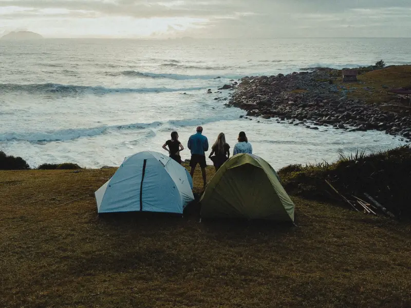 Data visualization comparing employee motivation metrics between experience rewards and cash bonuses showing superior performance.
