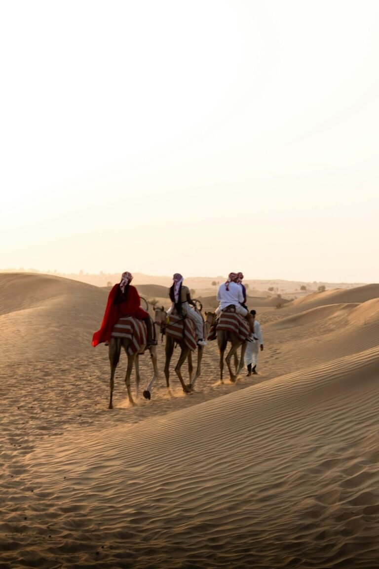 desert-experience-camels-scaled-1.jpg